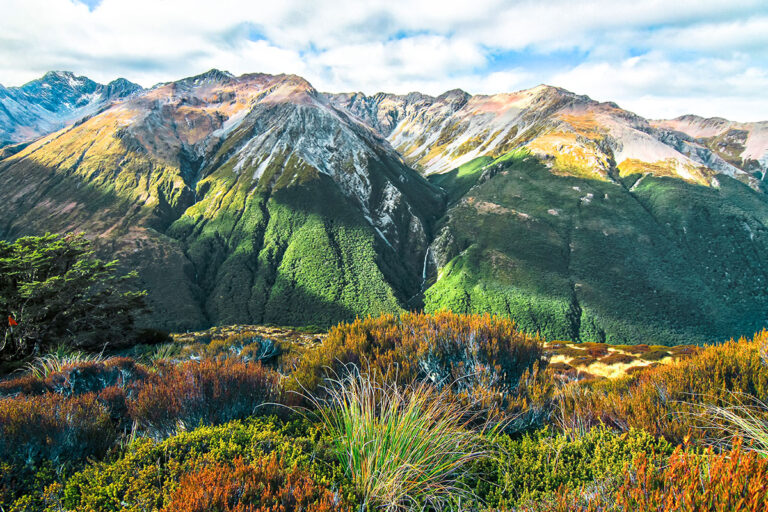 New Zealand Luxury Travel Packages from India